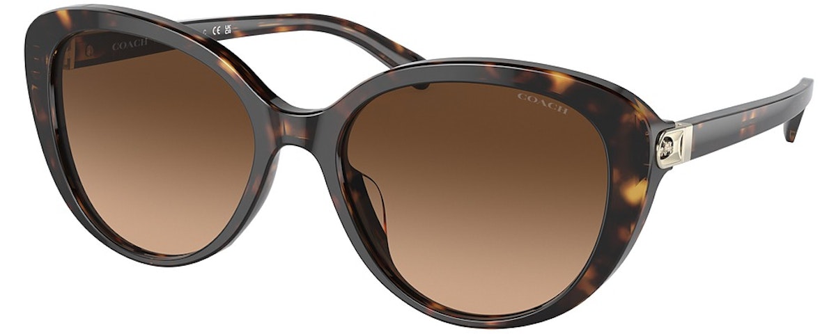 DARK TORTOISE / BROWN GRADIENT