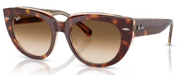 LIGHT HAVANA ON TRANSP. / CLEAR GRADIENT BROWN