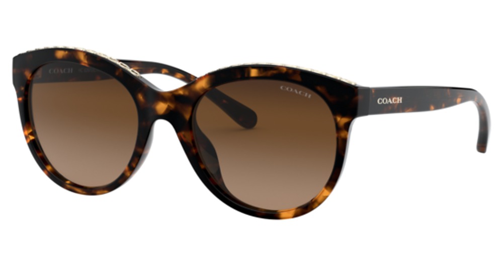 DARK TORTOISE / BROWN GRADIENT
