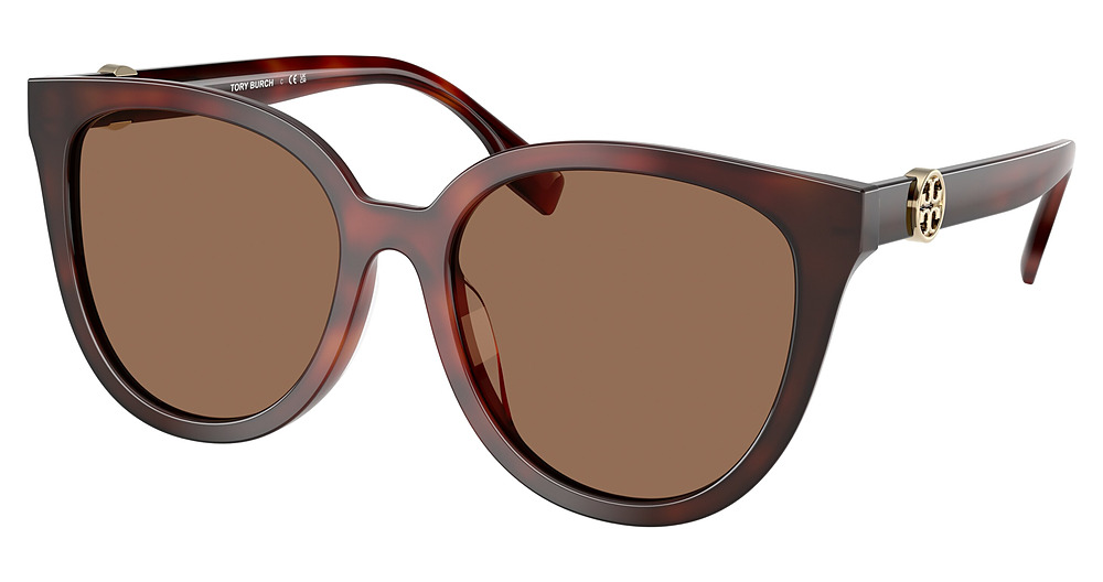 GRADIENT TORTOISE / DARK BROWN