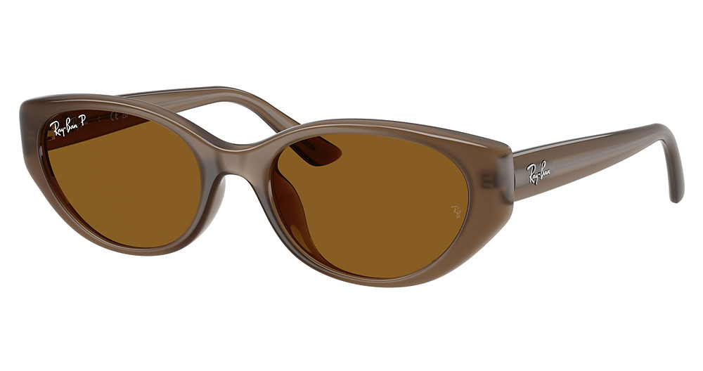 Ray-Ban RB4457D round sunglasses in Transparent Brown/Dark Brown Polarized