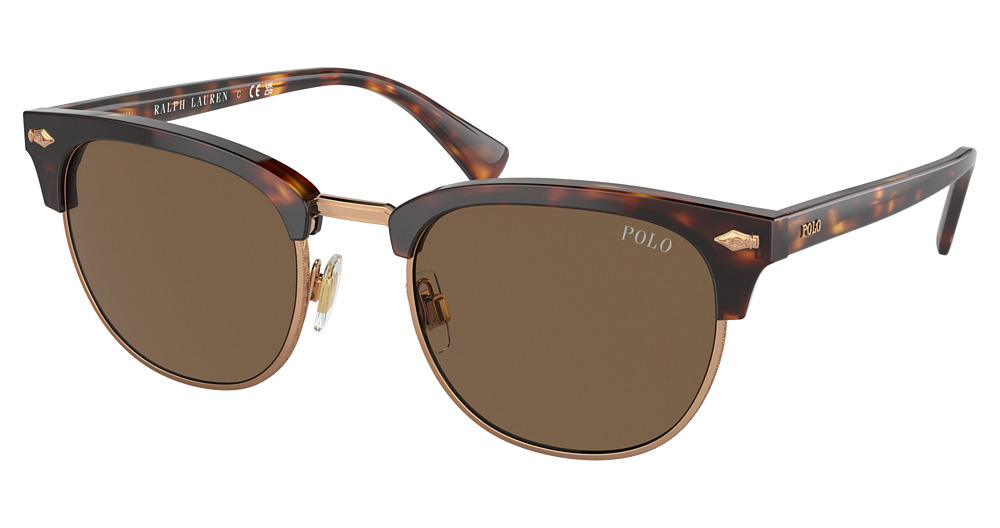 SHINY BROWN TORTOISE / BROWN
