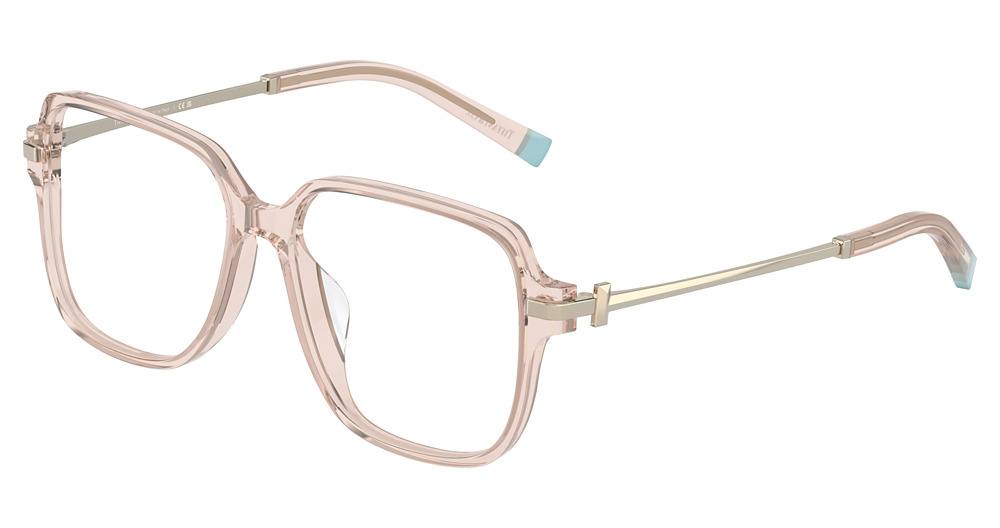 NUDE TRANSPARENT