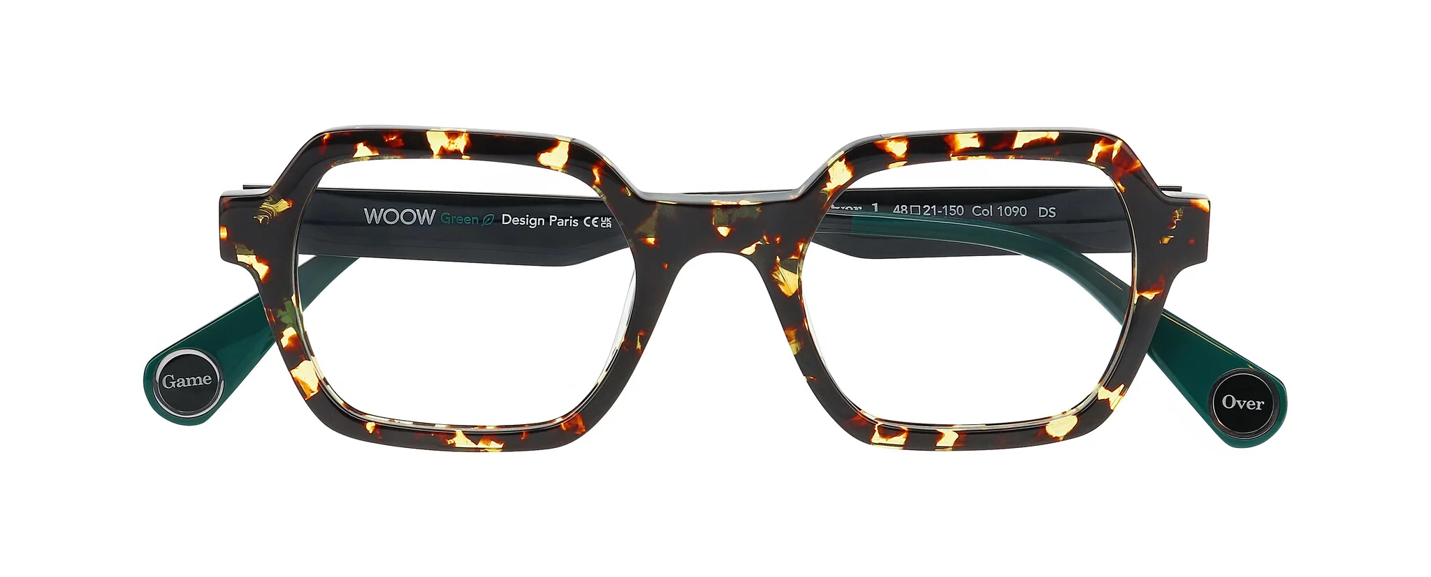 DOTTED TORTOISE
