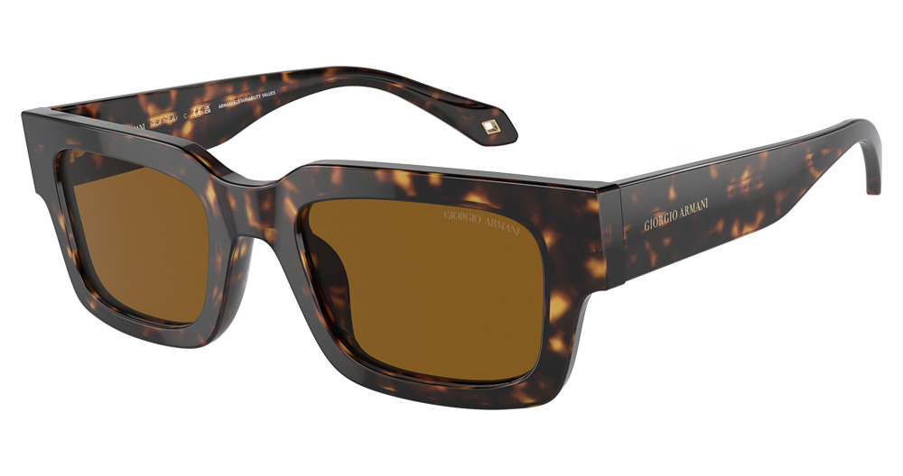 HAVANA / BROWN