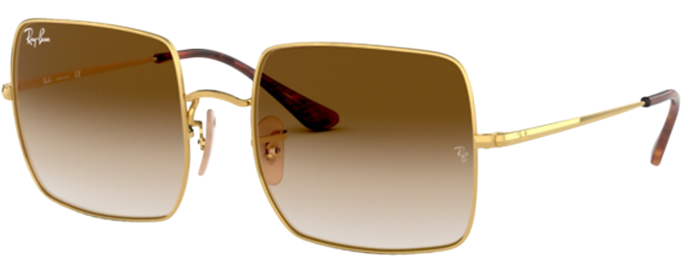 ARISTA / CLEAR GRADIENT BROWN