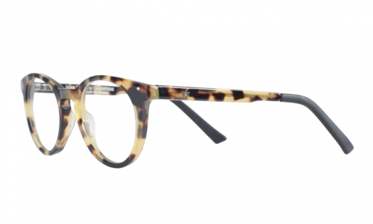 TORTOISE SHELL