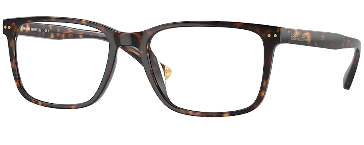 DARK TORTOISE