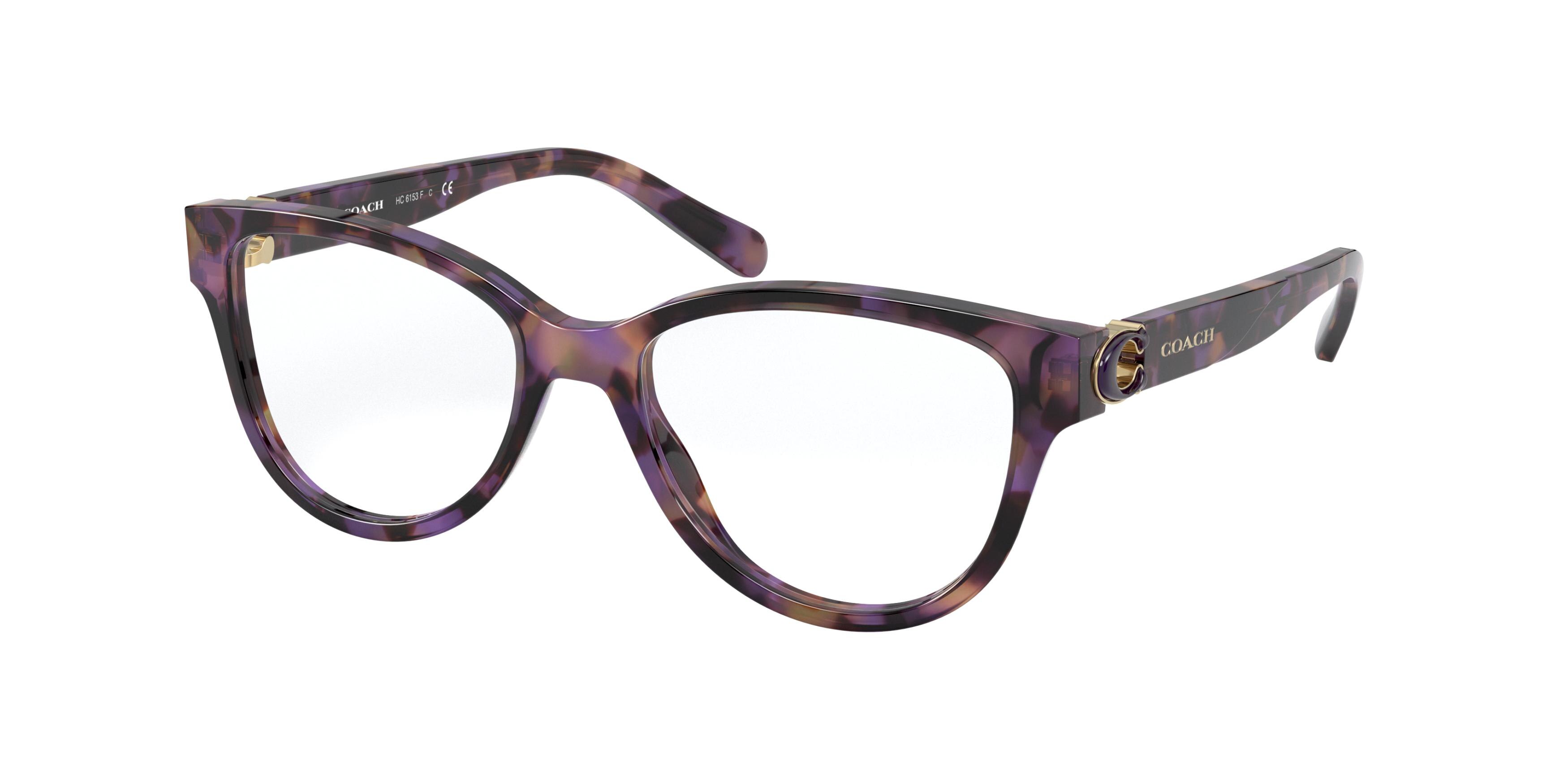 PURPLE TORTOISE