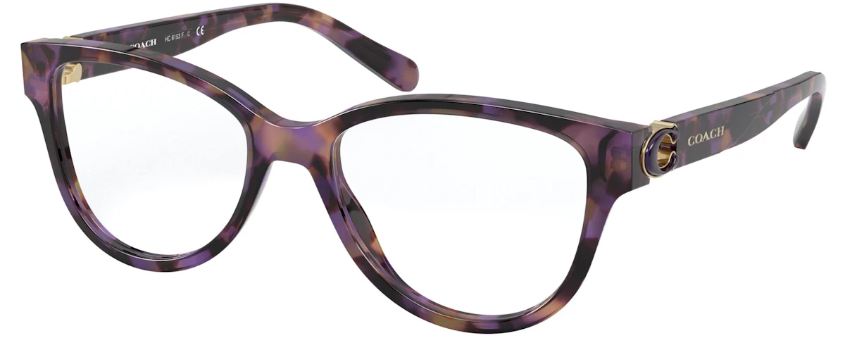 PURPLE TORTOISE