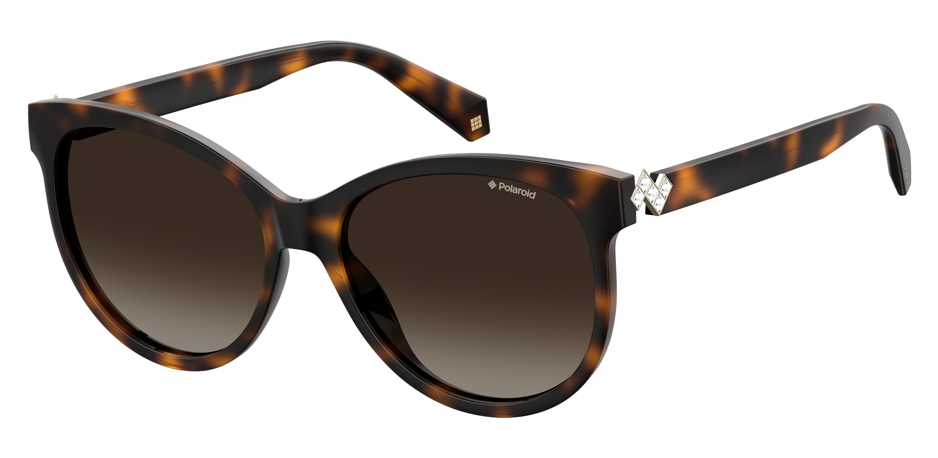 Dark Havana (LA Brown Gradient Polz)
