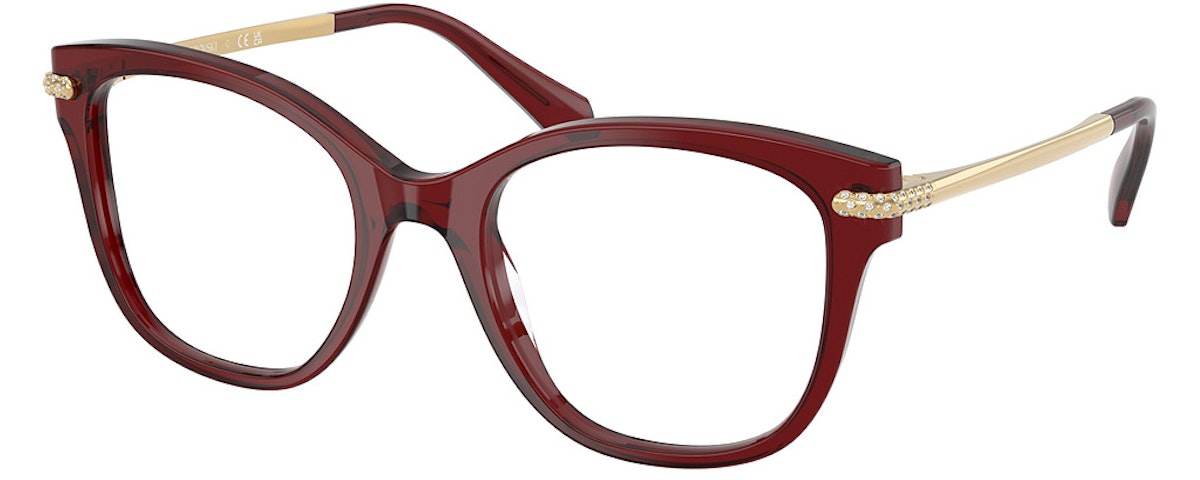 TRANSPARENT BURGUNDY