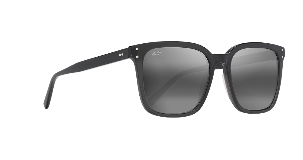 Dark Translucent Grey / Neutral Grey