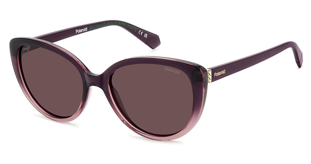 VIOLET / VIOLET POLARIZED