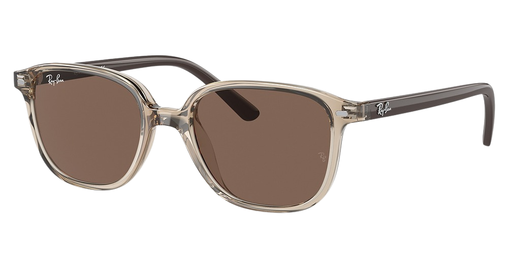 Ray-Ban RJ9093S JUNIOR LEONARD round sunglasses in Trasnparent Brown/Dark Brown