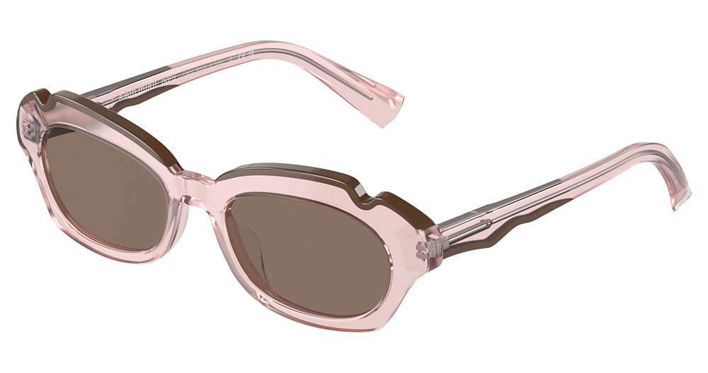 TRANSPARENT PINK/ BROWN / DARK BROWN