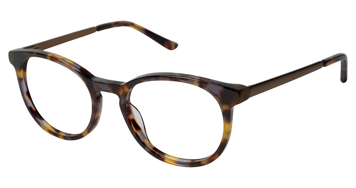 TORTOISE/GOLD