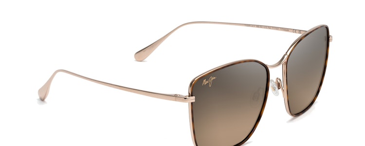 Dark Tortoise W/Gold / HCL® Bronze