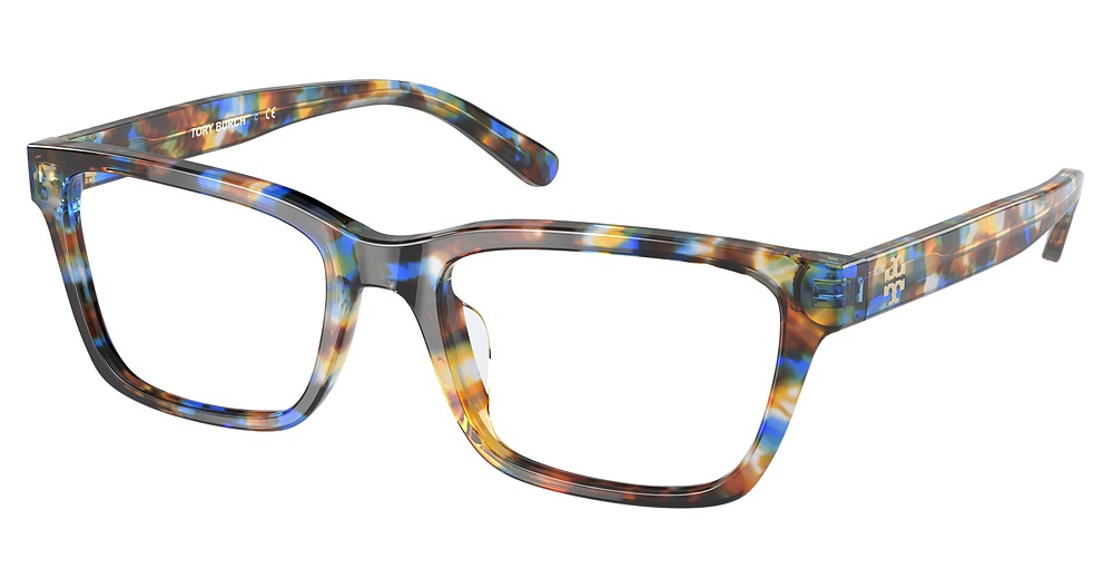 BLUE AMBER SPOTTY TORTOI