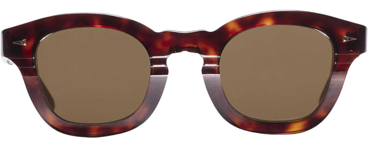 Light Turtle / Brown