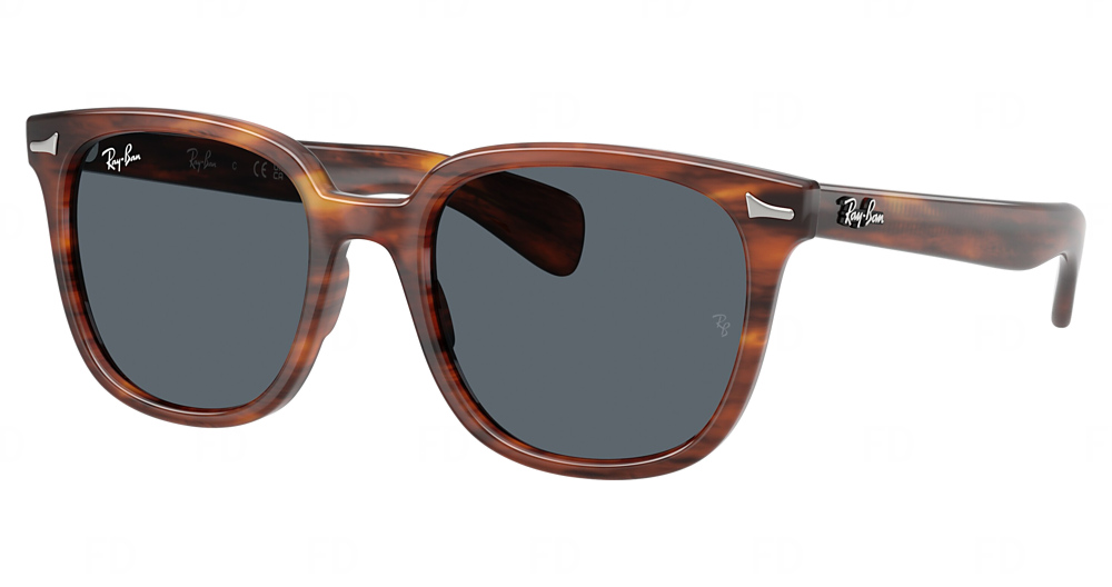 STRIPED HAVANA / BLUE