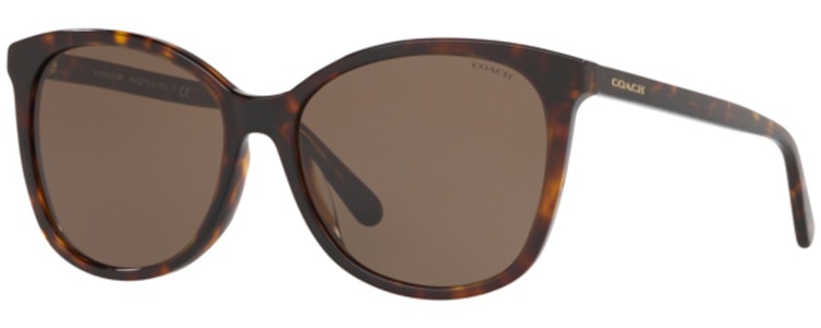 DARK TORTOISE / Dark Brown