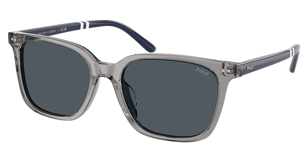 SHINY TRANSPARENT GREY / BOTTLE GREEN