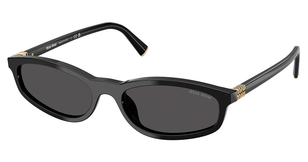 Miu Miu MU A06SF round sunglasses in Black/Dark Grey