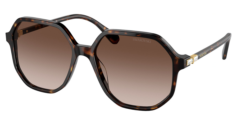 HAVANA / BROWN GRADIENT