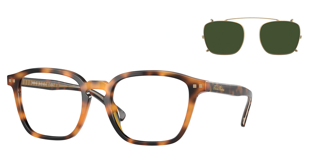 WARM TORTOISE / DARK GREEN SOLID