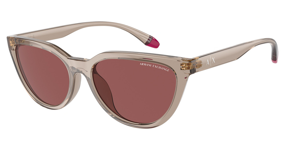 SHINY TRANSPARENT TUNDRA / DARK VIOLET