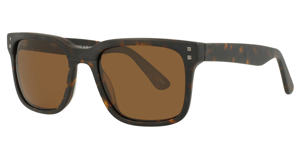 Mt. Tortoise / Brown