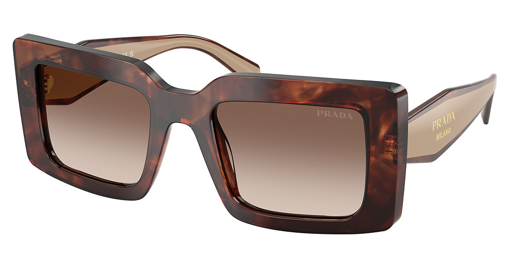 CARAMEL TORTOISE / BROWN GRADIENT