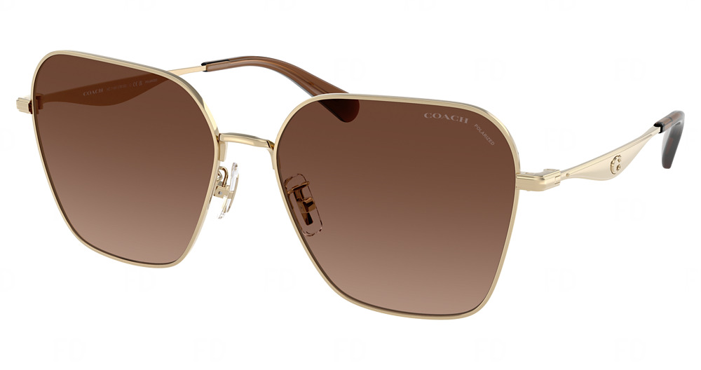 SHINY LIGHT GOLD / BROWN GRADIENT POLAR