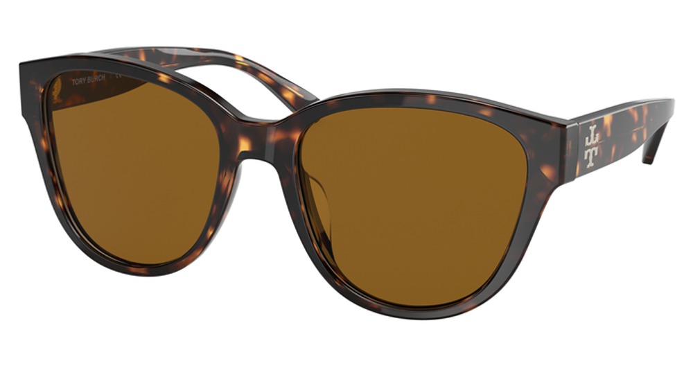 DARK TORTOISE / SOLID DARK BROWN POLAR