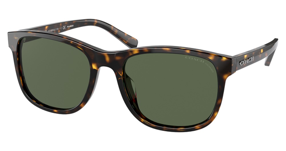 DARK TORTOISE / POLAR DARK GREEN