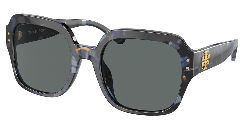 BLUE TORTOISE / DARK GREY POLAR