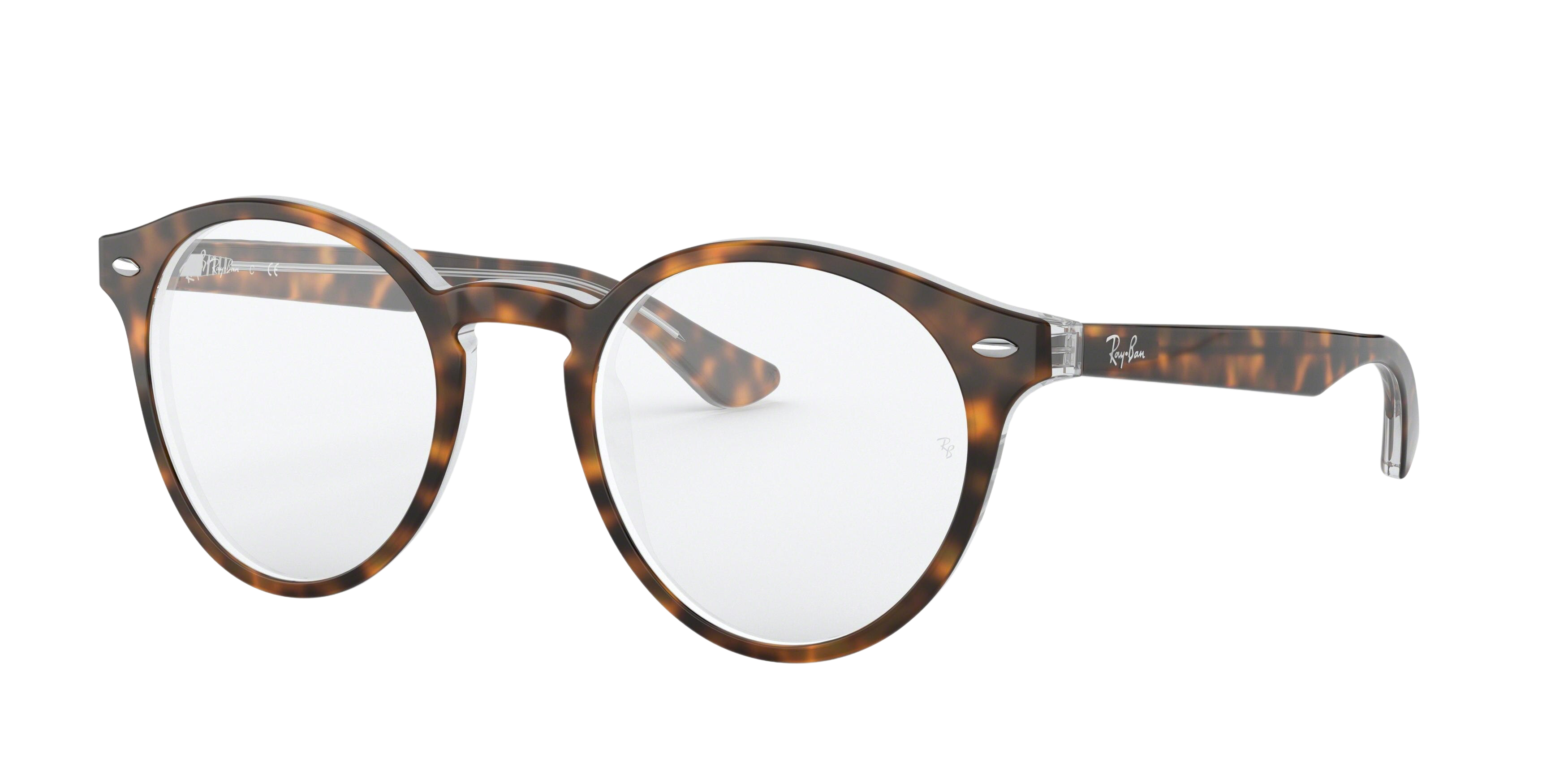 TOP HAVANA ON TRANSPARENT