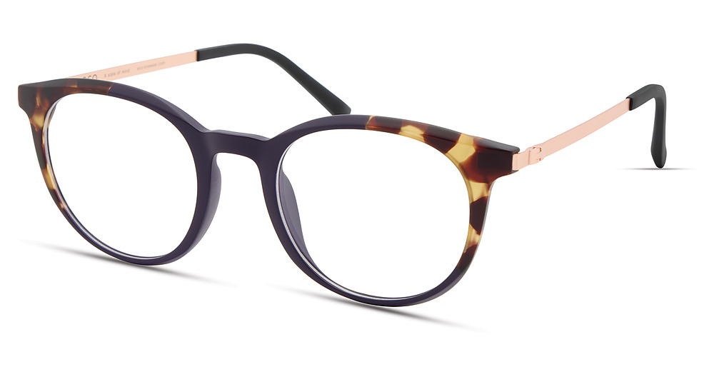 DARK PURPLE TORTOISE