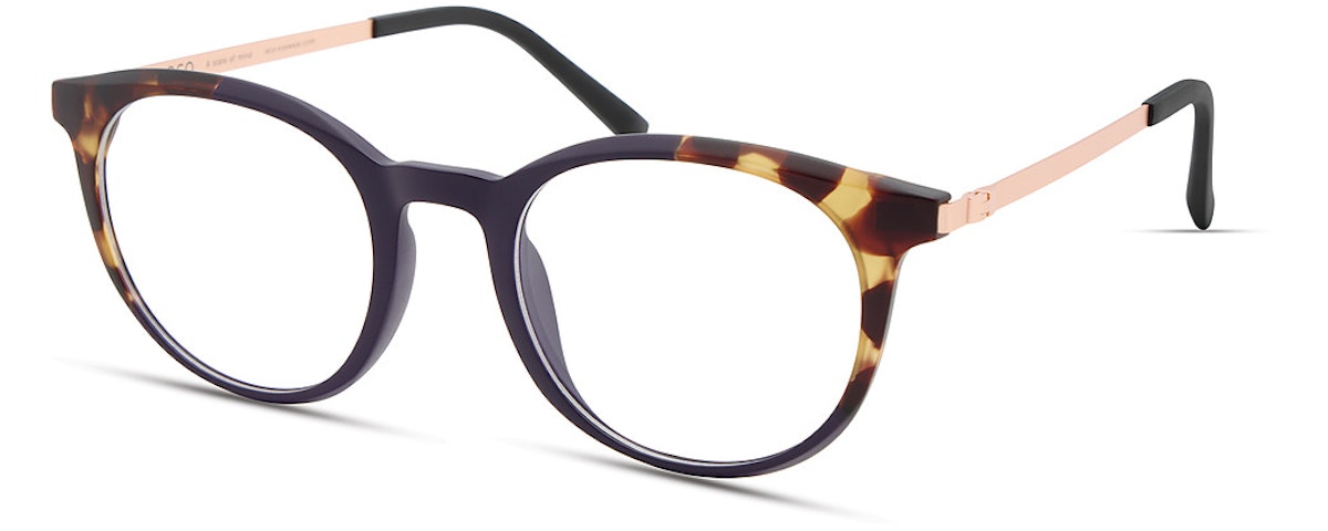 DARK PURPLE TORTOISE