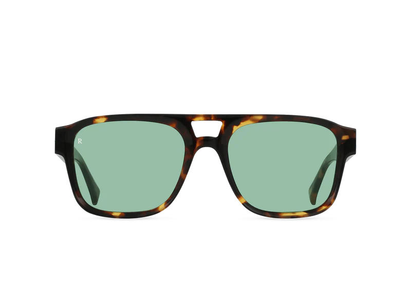 Scout Tortoise / Moonmist