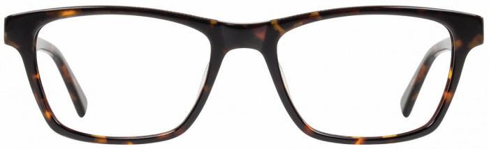 Tortoise/Gunmetal