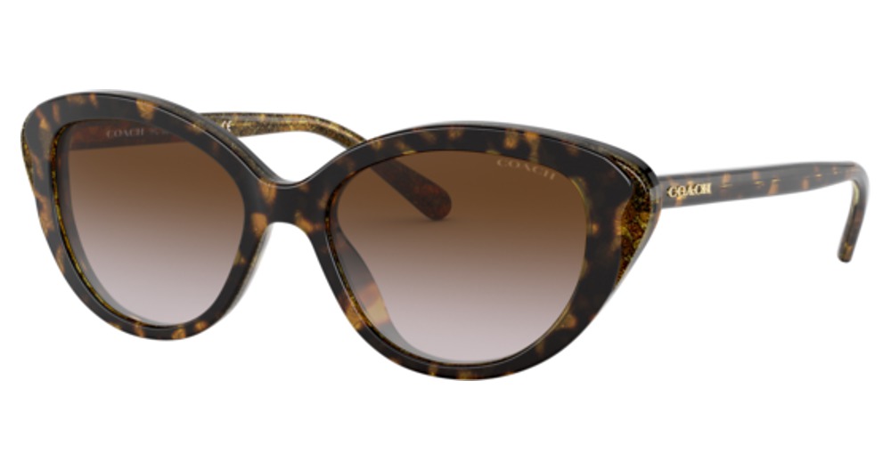 TORTOISE GLITTER SIGNATU / Brown Gradient
