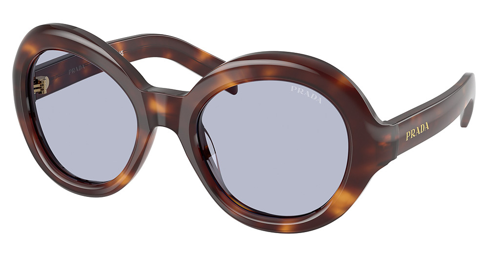 CLASSIC TORTOISE / BLUE