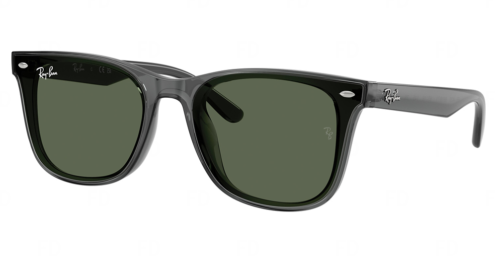 TRANSPARENT GREY / DARK GREEN