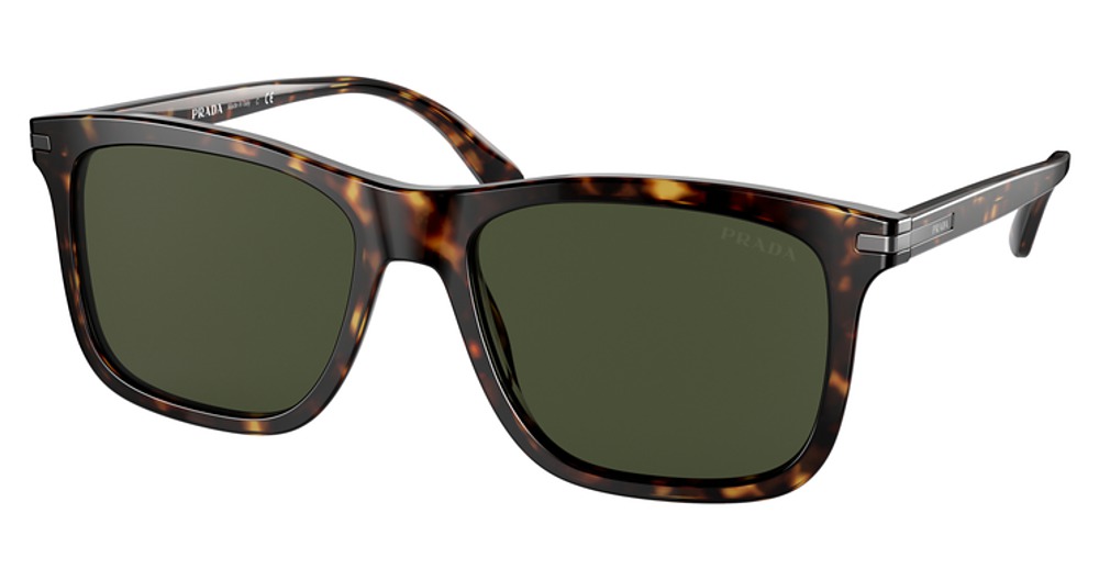 TORTOISE / GREEN