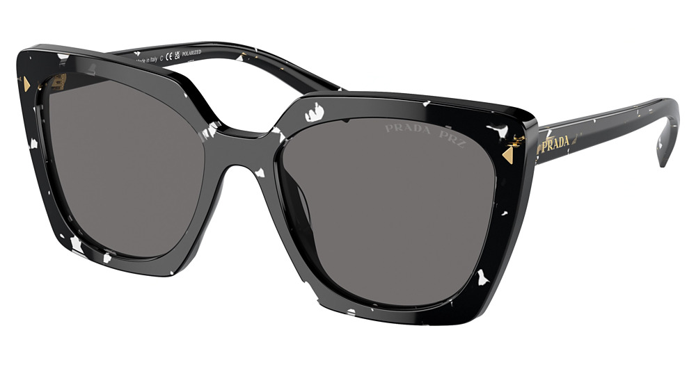 BLACK CRYSTAL TORTOISE / DARK GREY POLAR