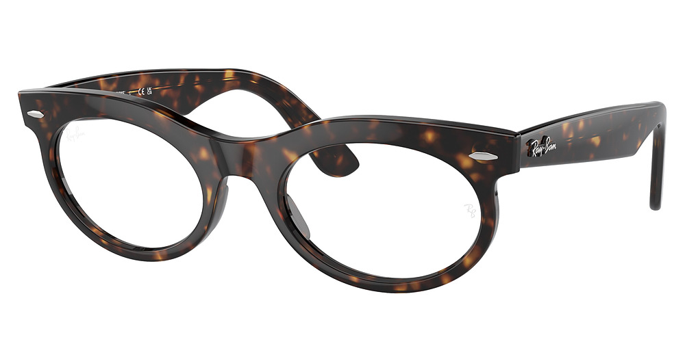 Ray-Ban RB2242 WAYFARER OVAL sunglasses in Havana/Transition Brown