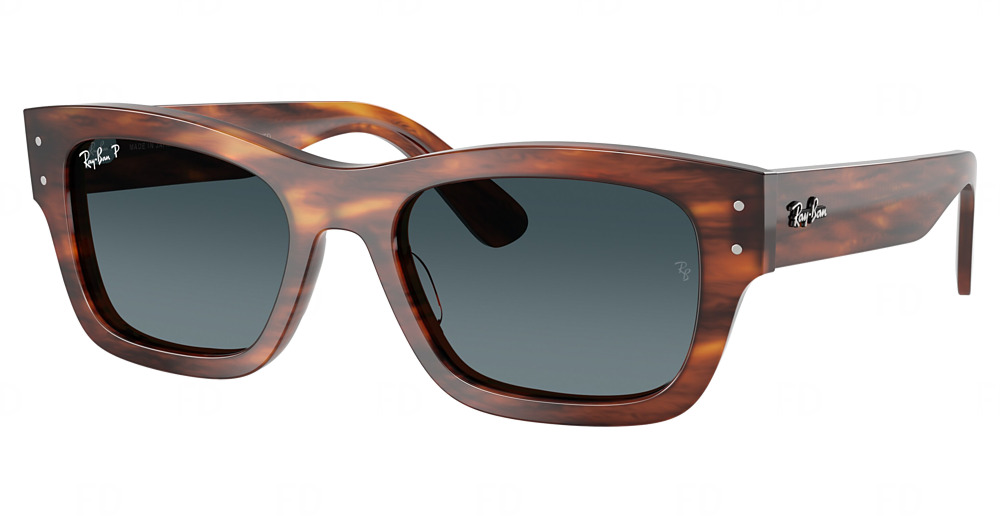STRIPED HAVANA / GRADIENT BLUE