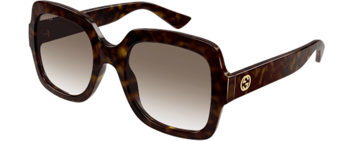 HAVANA-HAVANA-BROWN / BROWN